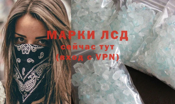 прущие грибы Козельск