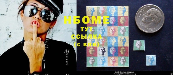 прущие грибы Козельск