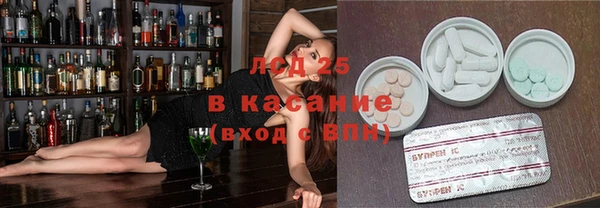 прущие грибы Козельск