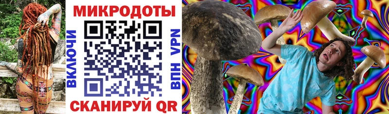 Купить  Обоянь  Псилоцибиновые грибы Psilocybine cubensis 